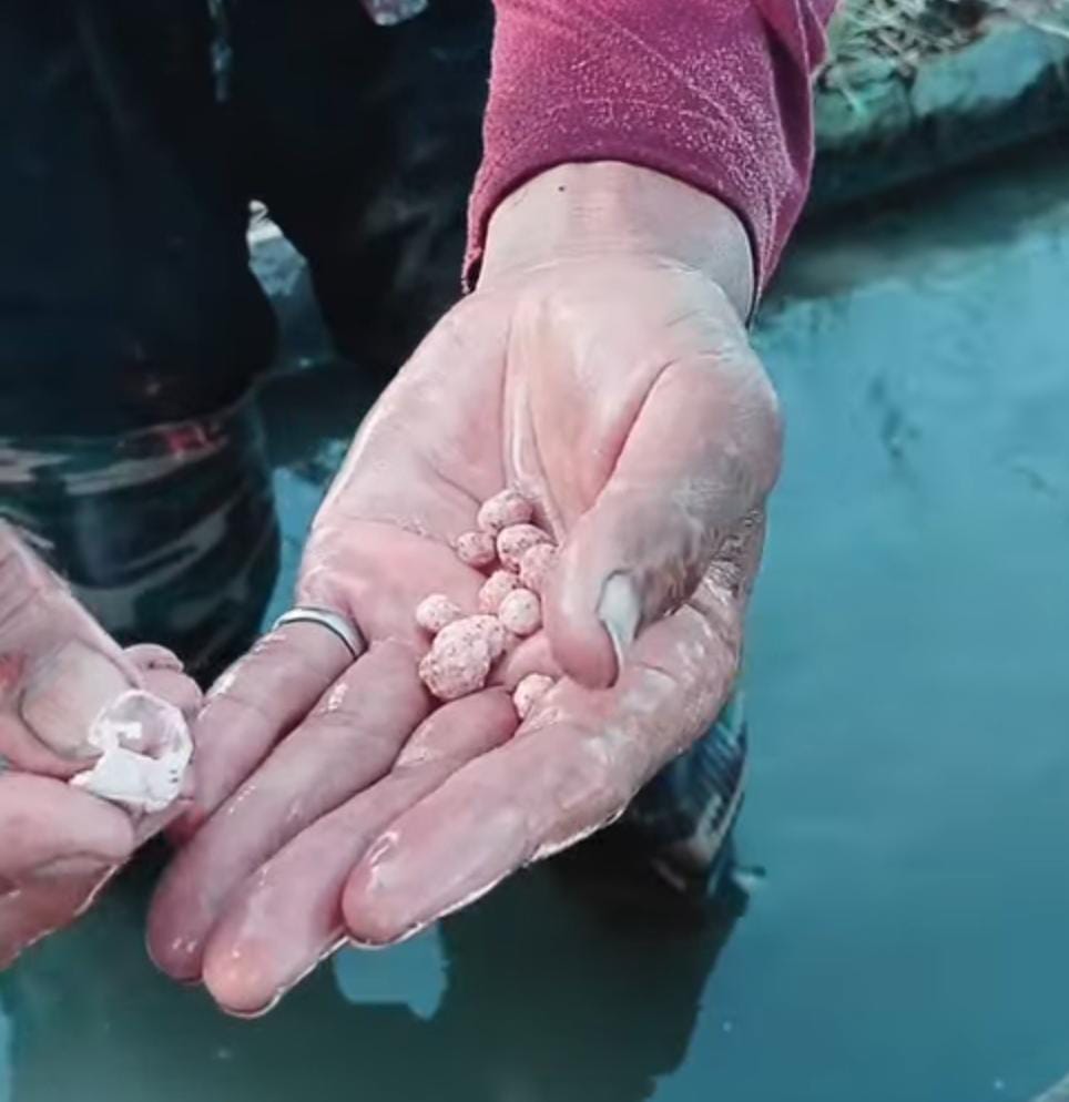 Pupuk Indonesia Klarifikasi Video Viral Dugaan Batu dalam Karung NPK Phonska Bersubsidi